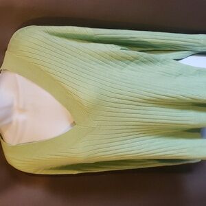 Pale Green V-Neck Sweater Size S- NWT